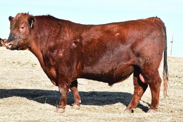 Bieber Flashdrive L179