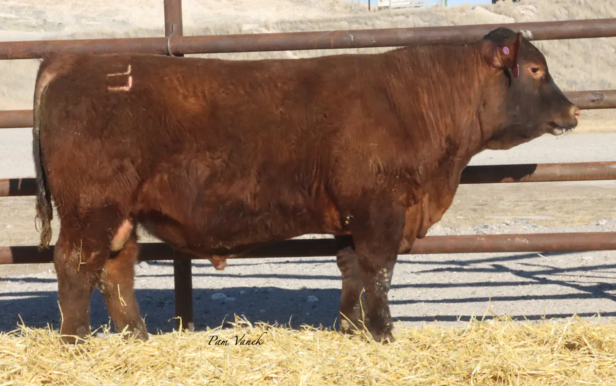 Lot 27: Loosli Hard Drive 507