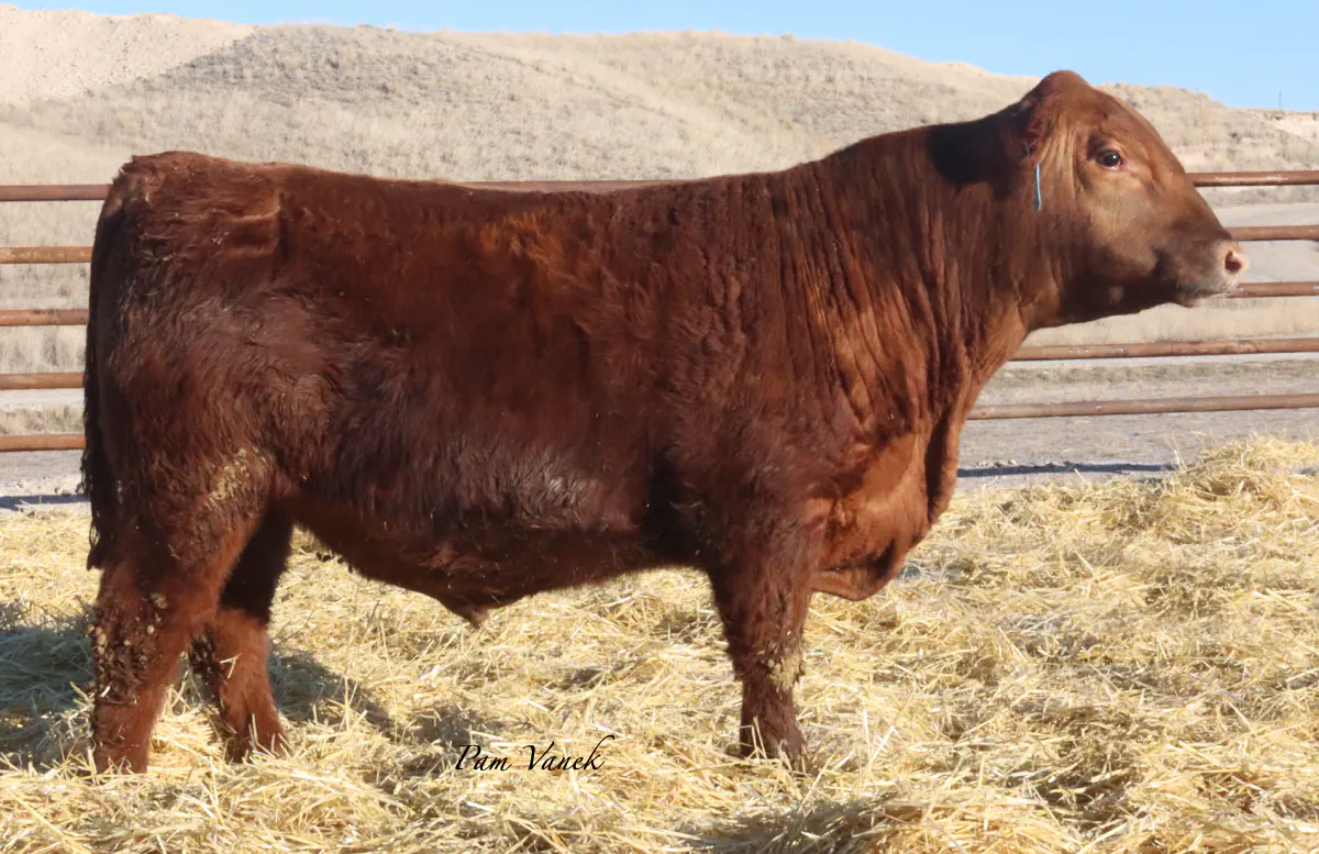 Lot 13: Loosli Flashdrive 509