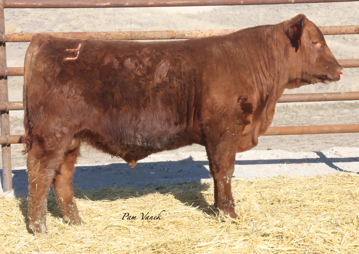 Lot 88: Loosli Delegate 5158