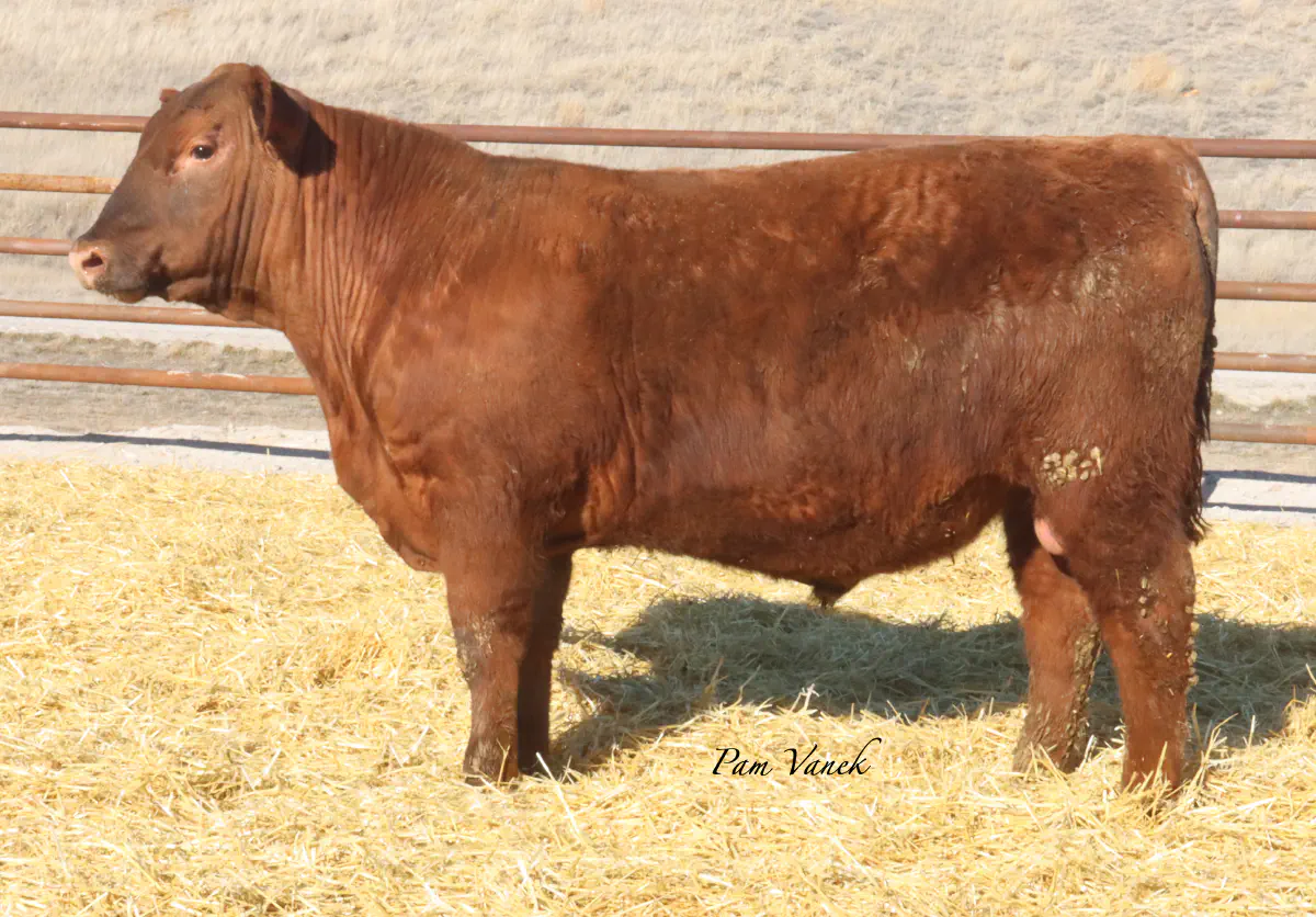 Lot 39: Loosli Flashdrive 5169