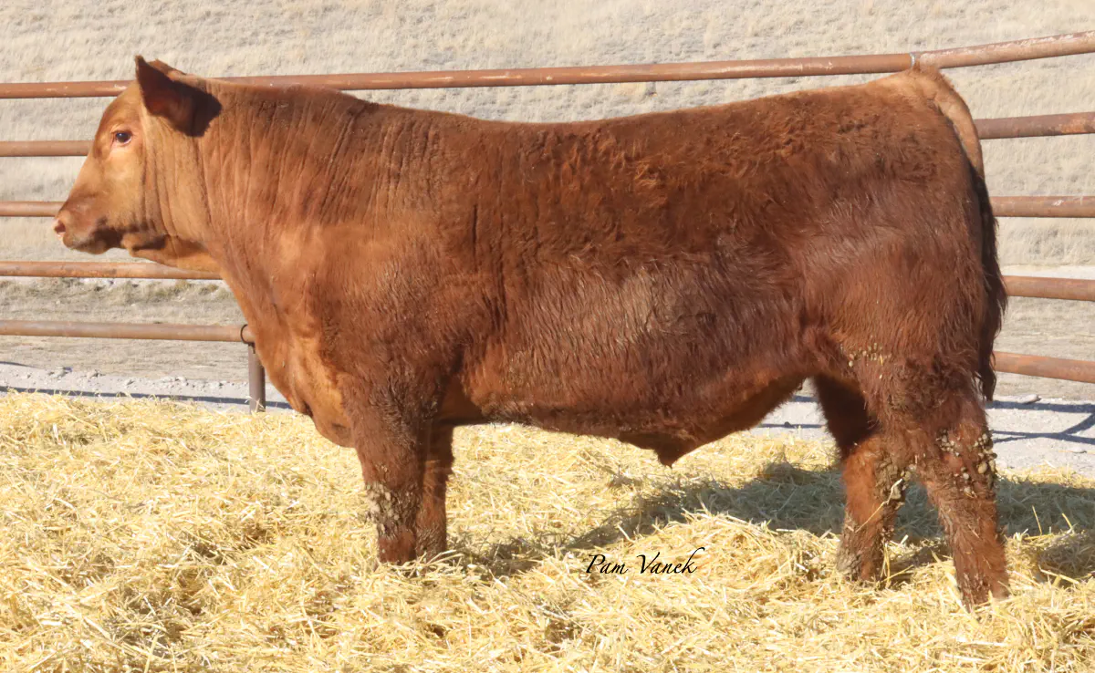 Lot 4: Loosli Flashdrive 529