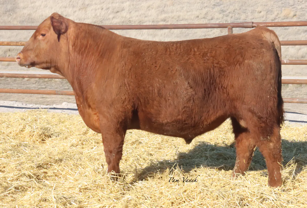 Lot 20: Loosli Flashdrive 557