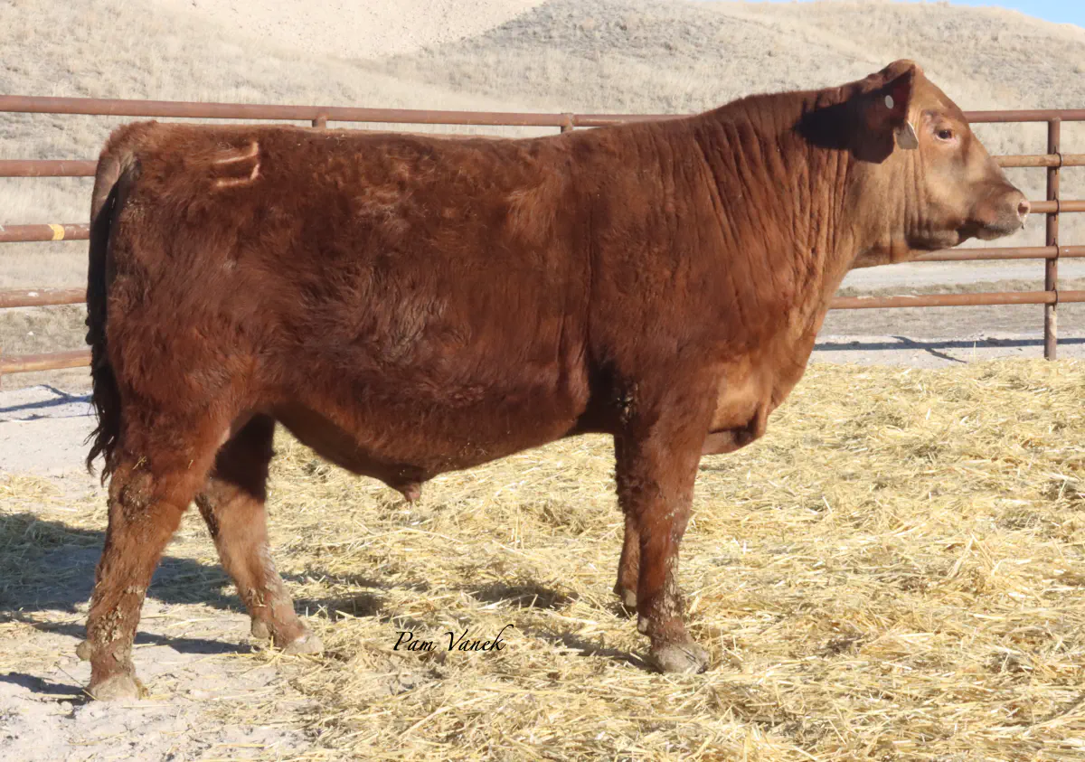 Lot 25: Loosli Reality 571